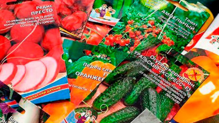 Не входящие в госреестр семена капусты продавали в Иркутской области